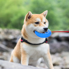 Pet Teether Cooling Chew Toy for Puppies Dogs