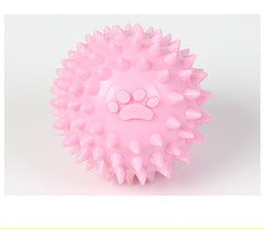 TPR pet molars interactive toy
