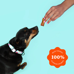 Pet Palace Snappin Salmon Crunchy Jerky Dog Treats