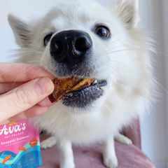 Pet Palace Snappin Salmon Crunchy Jerky Dog Treats