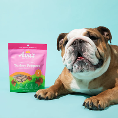 Pet Palace Freeze Dried Dog Treats - Turkey Poppers (3oz)