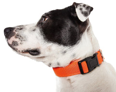 Aero Mesh Dual Sided Breathable Adjustable Thick Dog Collar