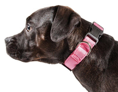Aero Mesh Dual Sided Breathable Adjustable Thick Dog Collar
