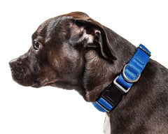 Aero Mesh Dual Sided Breathable Adjustable Thick Dog Collar