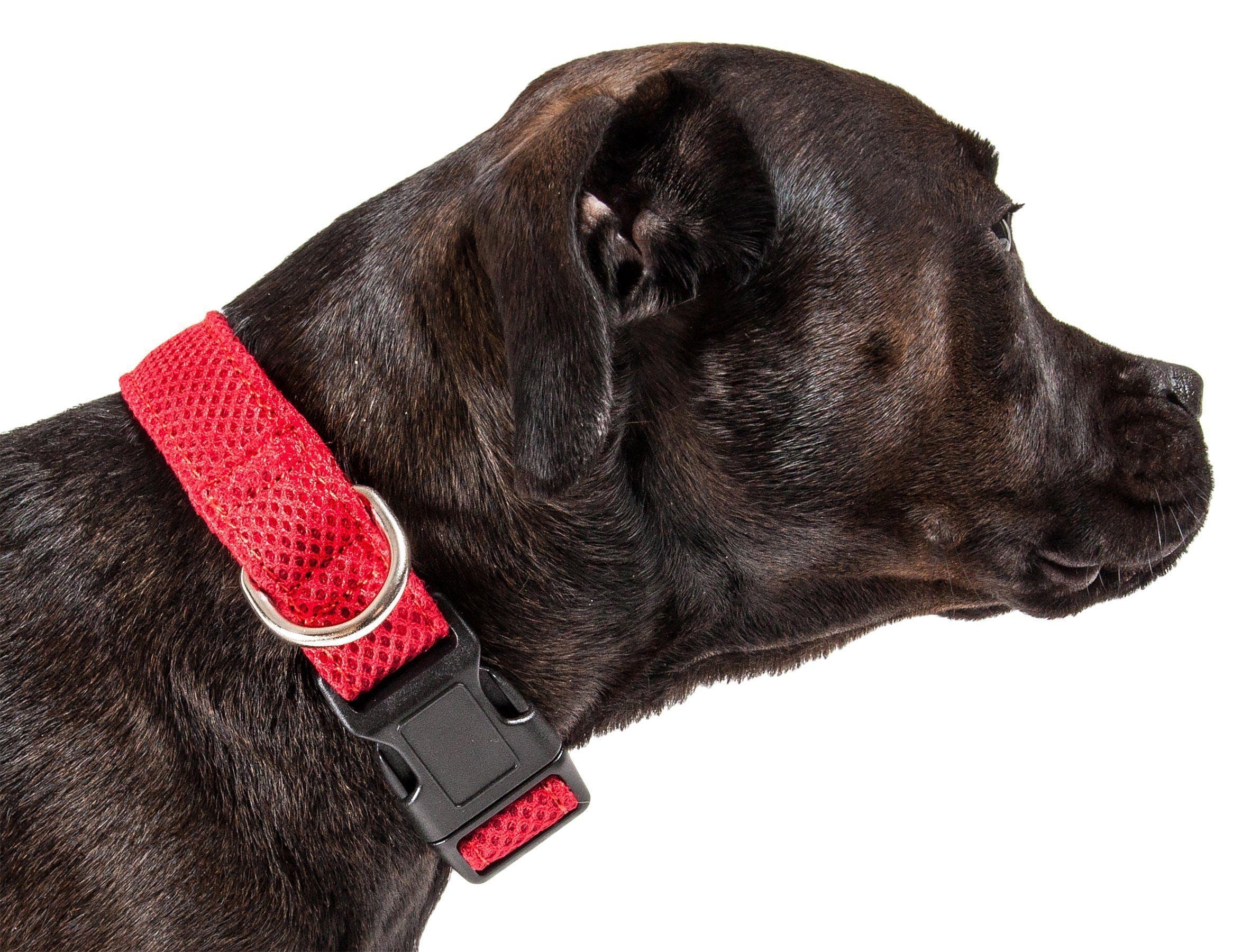 Aero Mesh Dual Sided Breathable Adjustable Thick Dog Collar