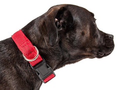 Aero Mesh Dual Sided Breathable Adjustable Thick Dog Collar